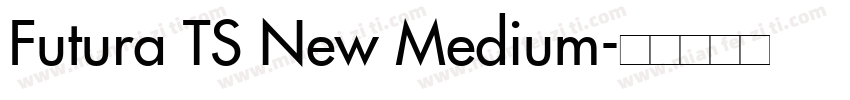 Futura TS New Medium字体转换